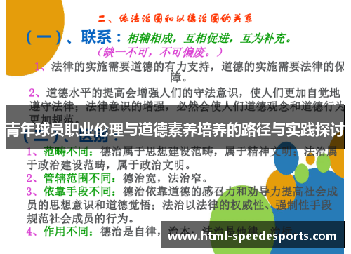 青年球员职业伦理与道德素养培养的路径与实践探讨