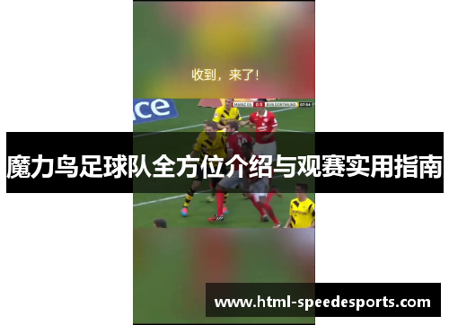 魔力鸟足球队全方位介绍与观赛实用指南